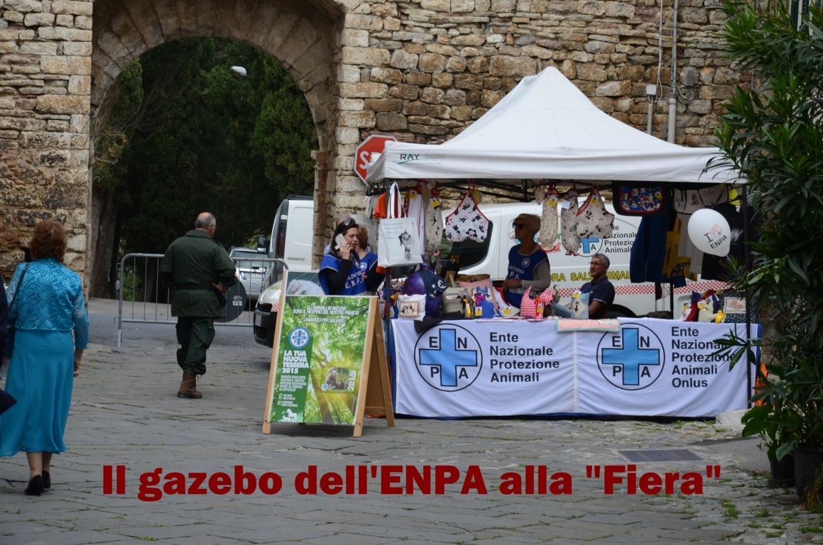 psc 2015 (9) (FILEminimizer)